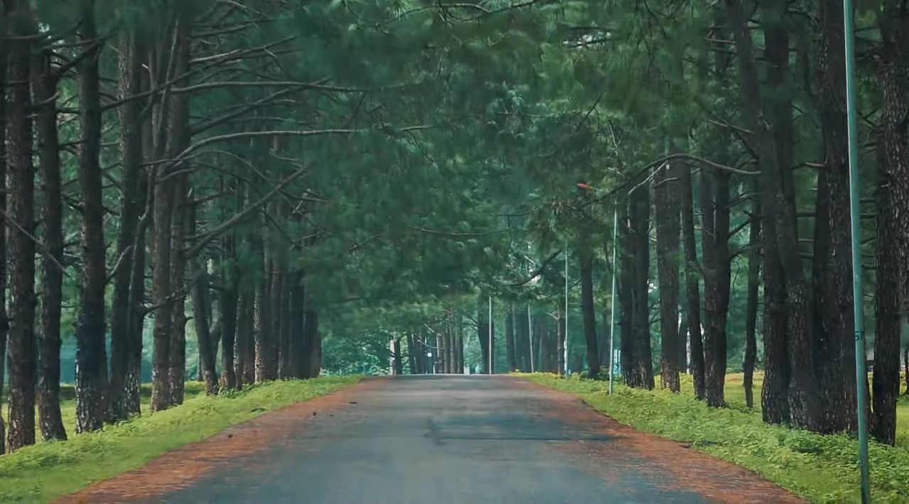 Patratu